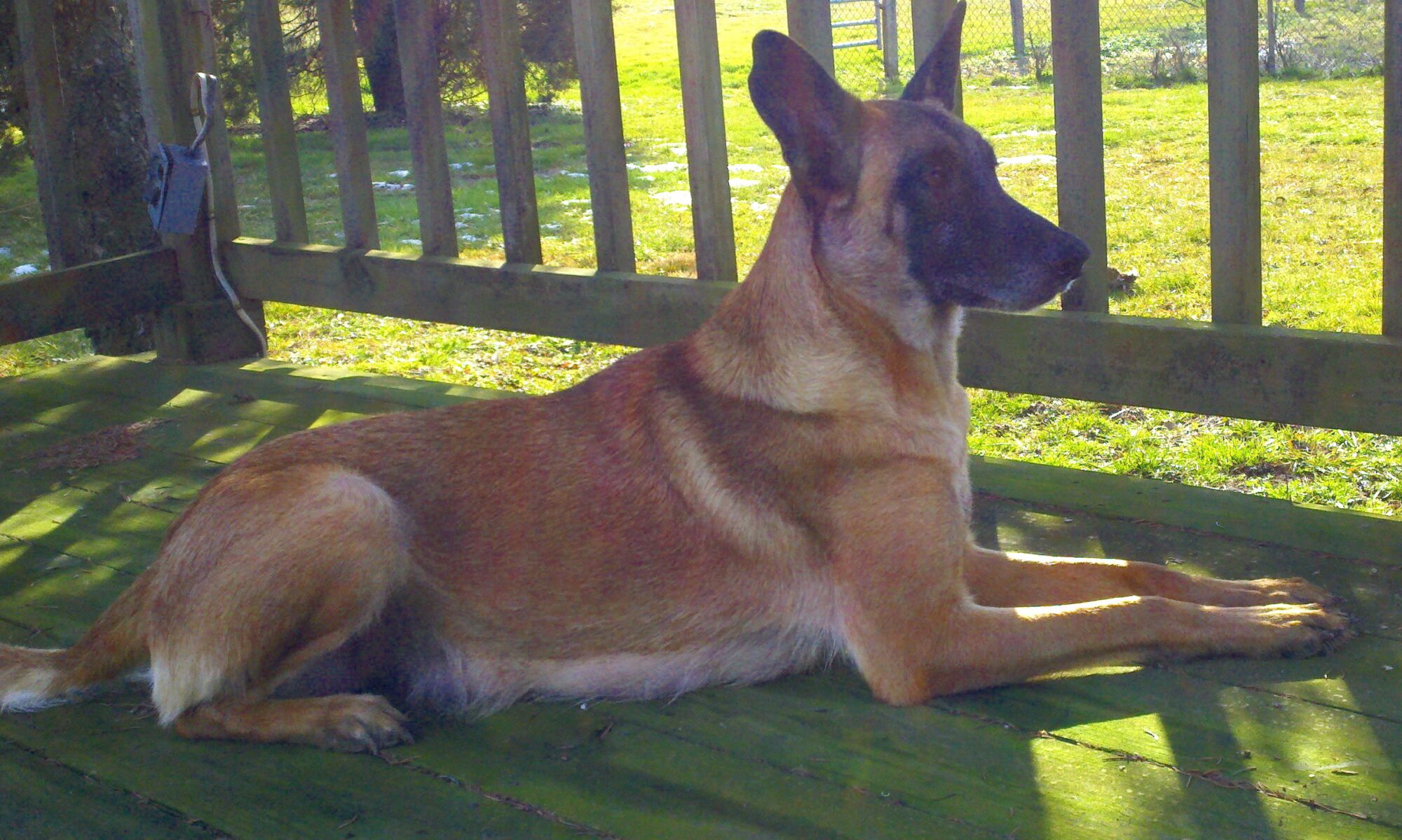 Maggie